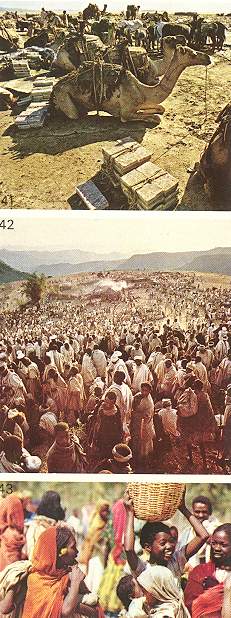 Makalle, Lalibela, Hararge