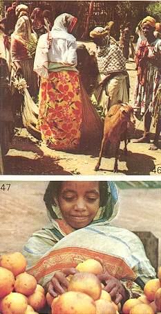 Hararge Province